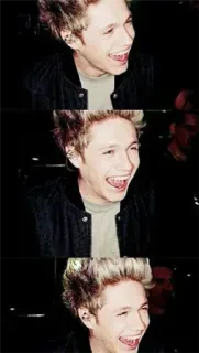 😂 Niall Horan Niall Horan, One Direction, cantante, celebridad, retrato, música telegram sticker