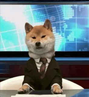 😑 Doge whatsapp sticker