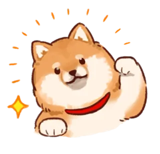 🤩 cane, shiba inu, animale, carino, animale domestico whatsapp sticker