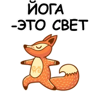 🐱 ЙОГА - ЭТО СВЕТ Joga, Lis, Ćwiczenia, Medytacja, Zwierzę, Kreskówka whatsapp sticker