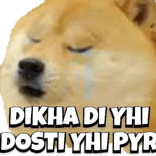 🥲 DIKHA DI YHI
DOSTI YHI PYR Doge, Meme, Buồn, Khóc, Tiếng Hindi telegram sticker