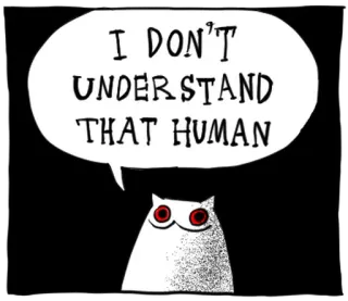 🐱 I DON'T UNDERSTAND THAT HUMAN gato, balão de fala, engraçado, meme, animal, desenho animado telegram sticker