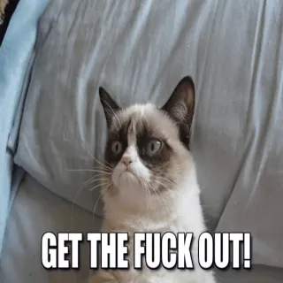 🙄 GET THE FUCK OUT! kucing pemarah, menyinggung, meme, kucing telegram sticker