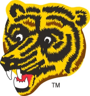 🐻 tigre, animal, mascotte, faune, chat whatsapp sticker