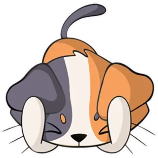 🙉 Katze, Kätzchen, Haustier, Tier, süß, Glückskatze telegram sticker