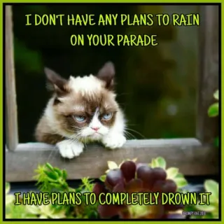 💧 Grumpy Cat I DON'T HAVE ANY PLANS TO RAIN
ON YOUR PARADE
I HAVE PLANS TO COMPLETELY DROWN IT 臭脸猫, 表情包, 幽默, 猫, 讽刺, 负面, 雨, 游行 whatsapp sticker