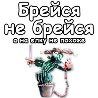 🌵 Брейся не брейся
а на елку не похоже 선인장, 웃긴, 전화, 농담, 클레이 애니메이션 telegram sticker