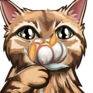 💣 แมว, กระเทียม, สัตว์เลี้ยง, สัตว์, น่ารัก telegram sticker