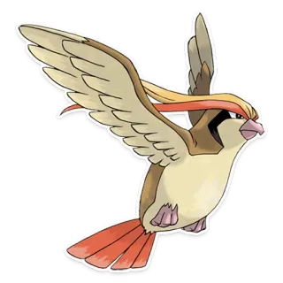 💪 Pidgeotto Pokemon 宝可梦, 飞行, 鸟, 比雕, 游戏 whatsapp sticker