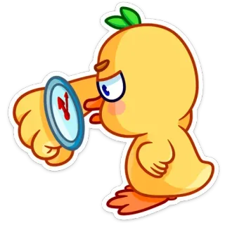 🤨 pato, esperando, tempo, relógio, irritado, desenho animado telegram sticker