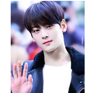 👋 K-pop, Idole, Acteur, Chae Eun-woo, Coréen whatsapp sticker