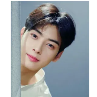 👀 Cha Eun-woo kpop, acteur, idole, beau, célébrité, chaeunwoo whatsapp sticker