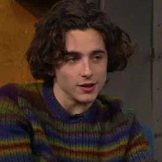 🦇 Timothée Chalamet actor, celebridad, retrato telegram sticker