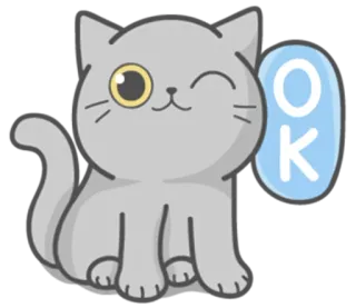 👌 OK kat, dier, schattig, sticker, cartoon, oké telegram sticker