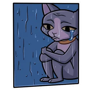 😢 kot, smutny, płaczący, deszcz, samotny, zwierzę whatsapp sticker