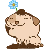 🏵