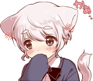 😳 かあ。 Anime, Katze, Süß, Kawaii, Erröten, Manga, Ohren, Schwanz telegram sticker