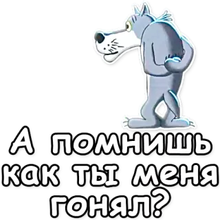 ❔ А помнишь как ты меня гонял? wolf, cartoon, aufkleber, russisch, animation telegram sticker