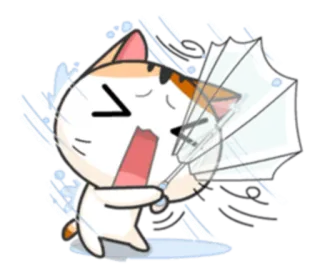 ☔ cat, umbrella, storm, rain, wind, weather telegram sticker