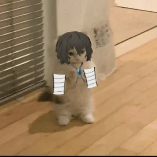 Standing Cat Anime @Icarusfalls whatsapp stickers