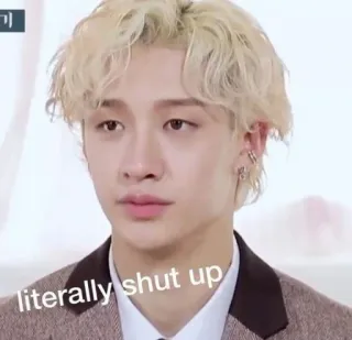 🔪 literally shut up kpop, มีม, ตามตัวอักษร, หุบปาก telegram sticker