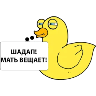 🤐 ШАДАП!
МАТЬ ВЕЩАЕТ! Ente, Russisch, Halt die Klappe, Mutter, Sprechen, Cartoon whatsapp sticker