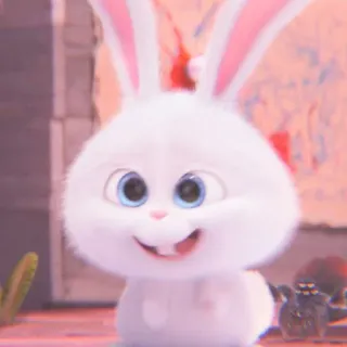 🐰 𝑺𝒏𝒐𝒘𝒃𝒂𝒍𝒍 ; @pinotampann whatsapp stickers