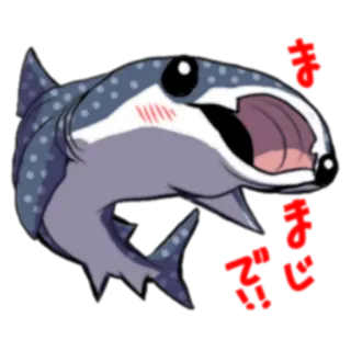 😄 きたー Tiburón, Tiburón ballena, Emocionado, Lindo, Animal telegram sticker