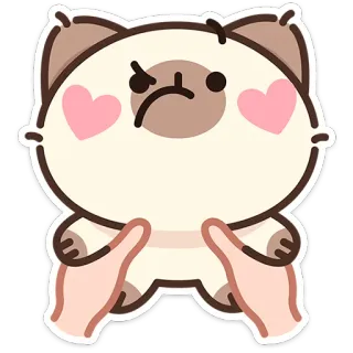 🤨 chat, mignon, coeurs, mains, autocollant, colère telegram sticker
