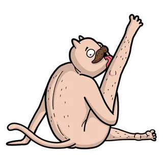 😜 chat, lécher, bizarre, drôle, dessin animé, personnage telegram sticker