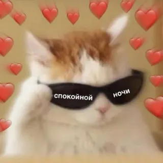 😴 спокойной ночи 猫, ハート, サングラス, おやすみ, 良い夢を telegram sticker