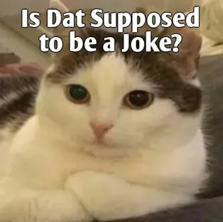 👀 Is Dat Supposed to be a Joke? cat, meme, joke, funny, animal, question whatsapp sticker