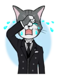 😭 고양이, 우는, 정장, 눈물, 슬픈, 이모티콘, 동물, 의인화 telegram sticker