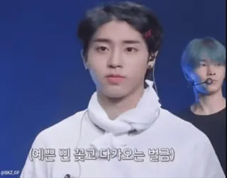 😔 (예쁜 삔 꽂고 다가오는 벌금) Han, K-Pop, Stray Kids, Cantante, Ídolo, Actuación telegram sticker