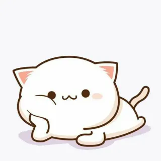 🍓 kucing, lucu, hewan, anak kucing, kartun whatsapp sticker