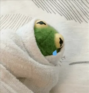 😭 Kermit the Frog The Muppets whatsapp sticker