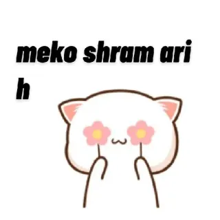 🙈 meko shram ari h gato, flores, lindo, dibujos animados whatsapp sticker