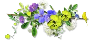 😴 flowers, floral, bird, nature whatsapp sticker