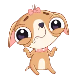 🤷‍♂ Hund, Welpe, süß, Cartoon, Sticker, Tier whatsapp sticker