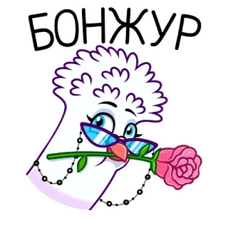 🌹 БОНЖУР бонжур, приветствие, русский, цветок, роза telegram sticker