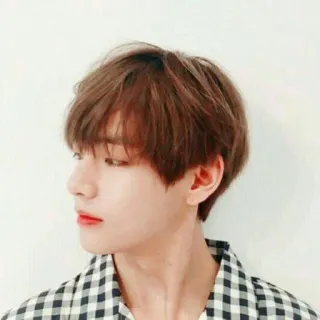 😏 V V, BTS, K-Pop, chanteur, acteur, Kim Taehyung telegram sticker