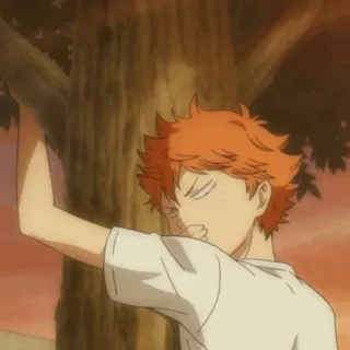 🧡 Hinata Haikyuu!! Anime, Esporte, Vôlei, Hinata, Haikyuu telegram sticker