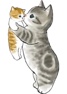 😽 kucing, anak kucing, hewan, imut, ibu, keluarga telegram sticker