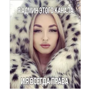 🫥 Я АДМИН ЭТОГО КАНАЛА
И Я ВСЕГДА ПРАВА mujer, selfie, abrigo de piel, admin, canal, rubia, ruso telegram sticker