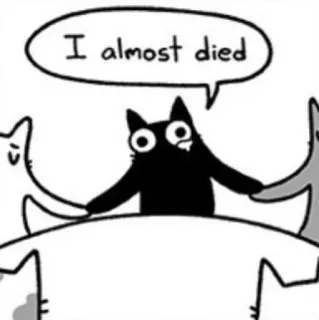 😿 I almost died gato, humor, desenho animado, quase morreu, gato preto whatsapp sticker