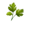 🥬