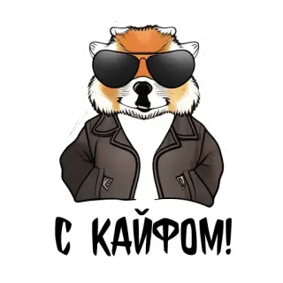 🕶 С КАЙФОМ! dog, sunglasses, jacket, cool, russian, text telegram sticker