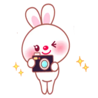 📷 bunny, rabbit, cartoon, camera, cute, sticker, animal, winking whatsapp sticker