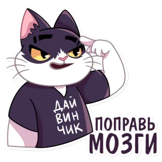 🙈 ДАЙ ВИНЧИК ПОПРАВЬ МОЗГИ кот, думает, показывает на голову, русский текст telegram sticker
