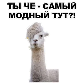 Животные @eeZee_stickers telegram stickers